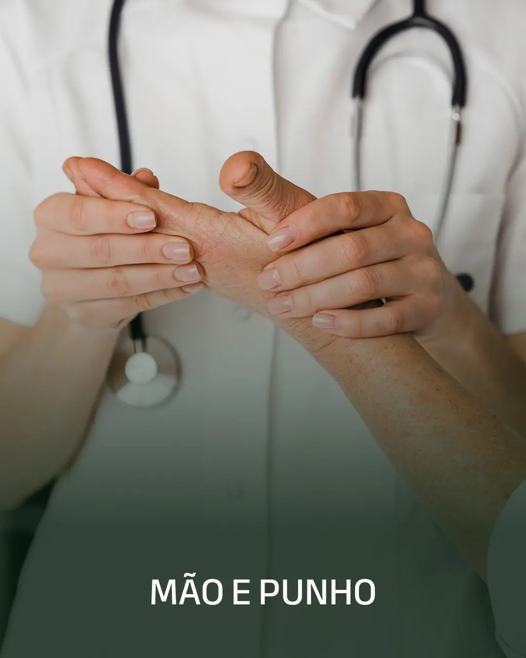 Mão e Punho